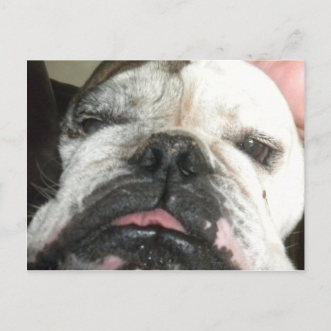 Cartão Postal Preciso parar de bebendo. (Frente)