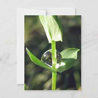 Cartão Postal Precoce Pacificador Reflexão sobre Meditação de Na