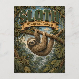 Cartão Postal Preguiça Dossel Da Floresta Tropical POPCUT