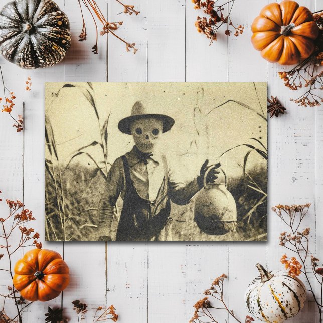 Cartão Postal Preguiçoso Esqueleto no campo do milho (Criador carregado)