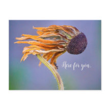 Preocupação com Carinho e Sentimento Aqui por Você