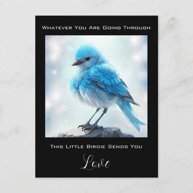 Cartão Postal *~* Preocupação de cuidado com Bird Azul Detalhada (Frente)