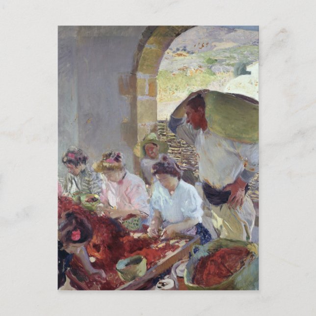 Cartão Postal Preparando as Uvas Secas, 1890 (Frente)