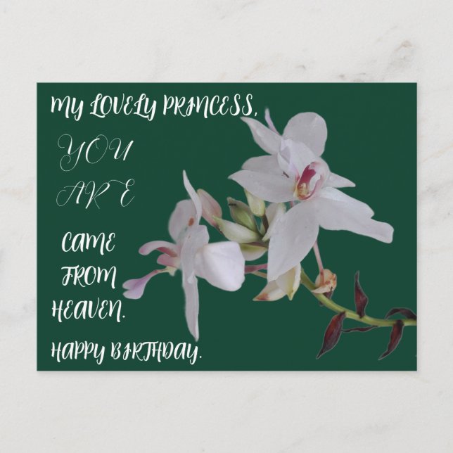 CARTÃO POSTAL PRESENTE DE ANIVERSÁRIO PARA FILHA IRMÃ AMIGO (Frente)