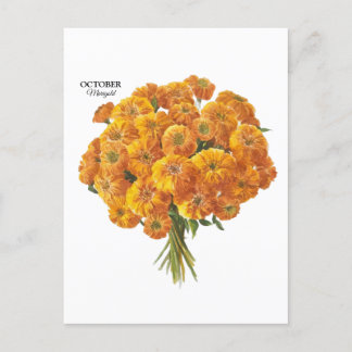 Cartão Postal Presente de Aniversário Personalizável de Outubro