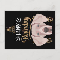 Presente de Aniversário Weimaraner