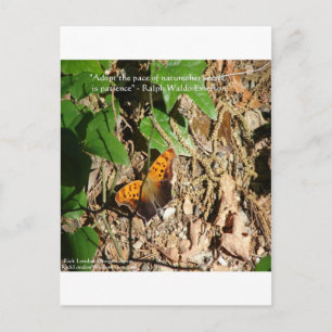 Cartão Postal Presente de Citação de Sabedoria "Ritmo da Naturez