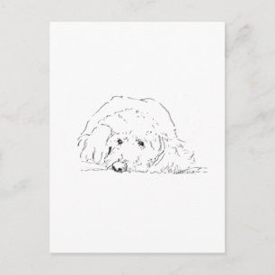 Cartão Postal Presente de Filhote de Cockapoo, Ideias de Present