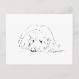 Cartão Postal Presente de Filhote de Cockapoo, Ideias de Present