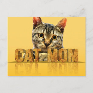Cartão Postal Presente de mãe de gato camiseta de mãe de gato