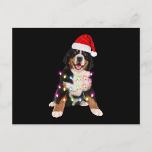 Cartão Postal presente de natal de cachorrinho de montanha do be