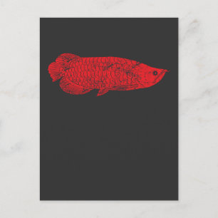 Cartão Postal Presente de Peixe - Peixes Vermelhos Arowana para