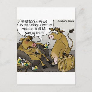 Cartão Postal Presente Divórcio Vaca Touro Cartoon Engraçado & C