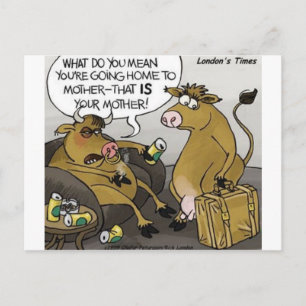 Cartão Postal Presente Divórcio Vaca Touro Engraçado Cartoon & C