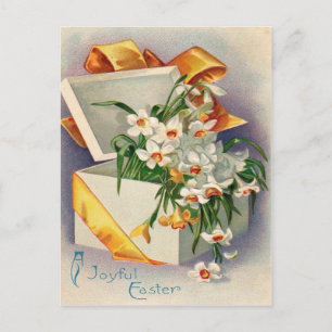 Cartão Postal Presente Narciso Junquilho