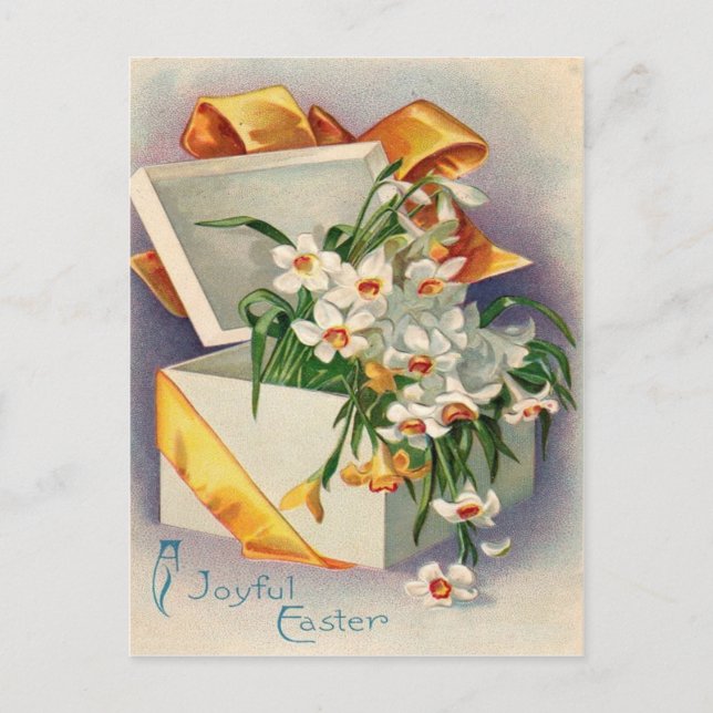 Cartão Postal Presente Narciso Junquilho (Frente)