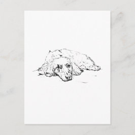 Cartão Postal Presente para Amante de Cachorro Wiener, Mãe de Da