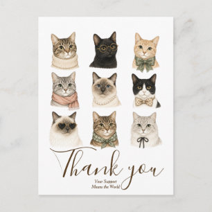 Cartão Postal Presente para Amante de Gatos Fofos Kit de Arco de