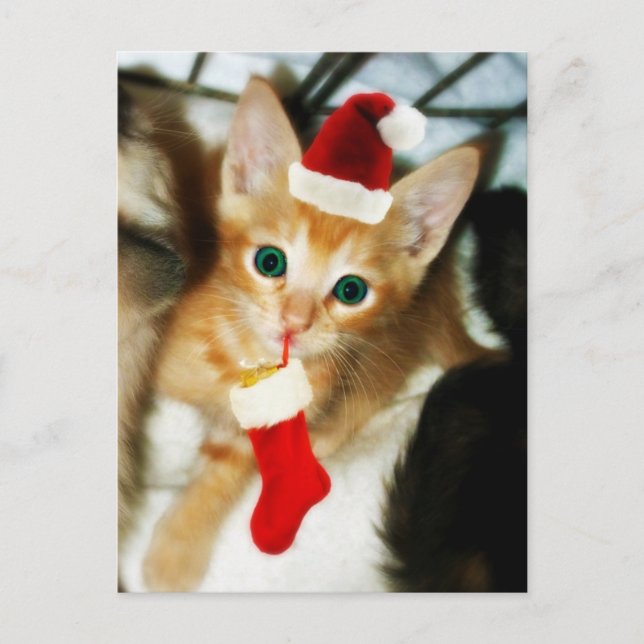 CARTÃO POSTAL PRESENTE PARA VOCÊ (Frente)