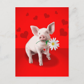 Cartão Postal Presentes