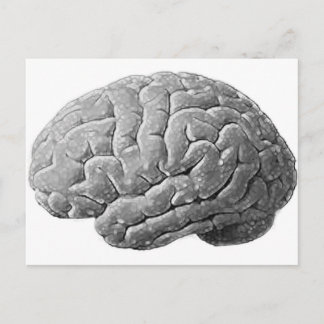 Cartão Postal Presentes cerebrais