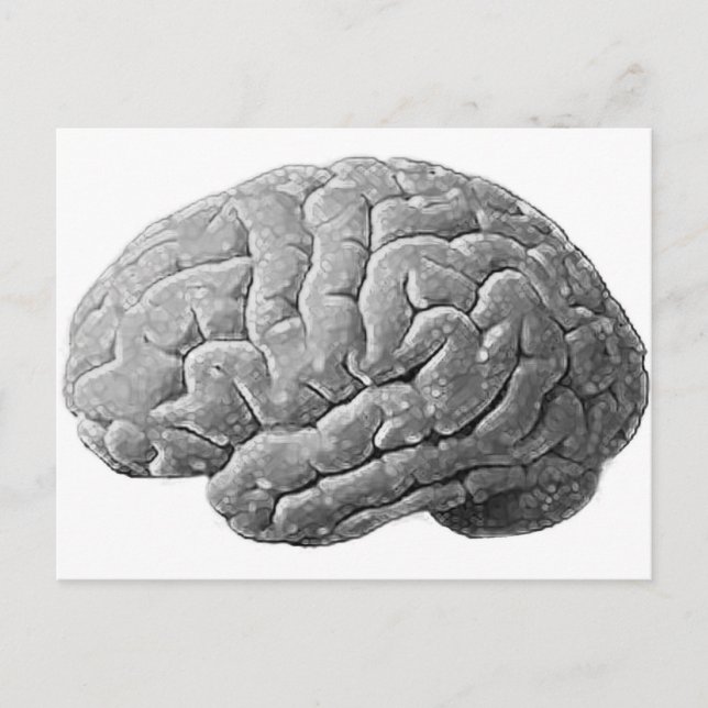 Cartão Postal Presentes cerebrais (Frente)