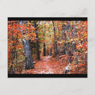 Cartão Postal Presentes de Aquarela da Trilha da Floresta Pintad