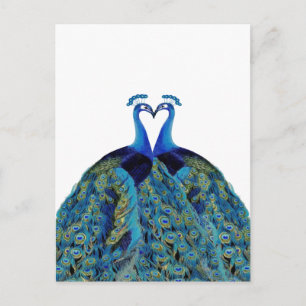 Cartão Postal Presentes de Casamento Pavões Beijando Vintage