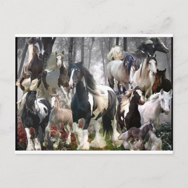 Cartão Postal Presentes de Cavalo Cigarro (Frente)