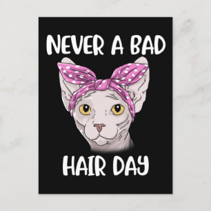 Cartão Postal Presentes De Gato Esphynx Para Homens E Mulheres G