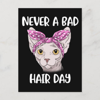 Cartão Postal Presentes De Gato Esphynx Para Homens E Mulheres G