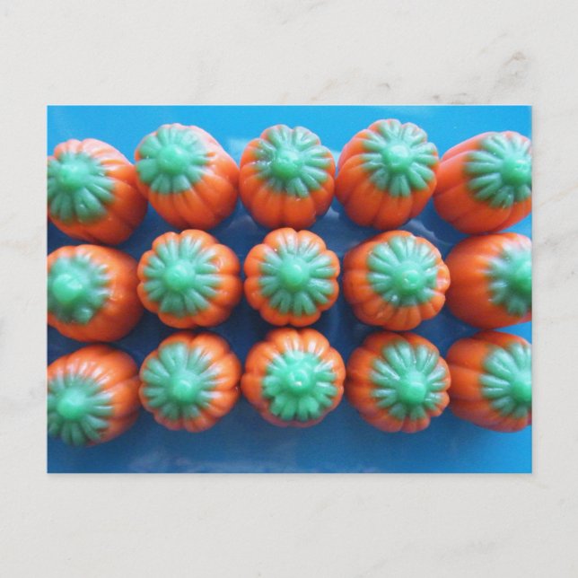 Cartão Postal Presentes de milho doce de abóbora (Frente)