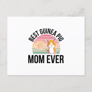 Cartão Postal Presentes de Porquinho-da-Índia   Porquinhos-da-Ín