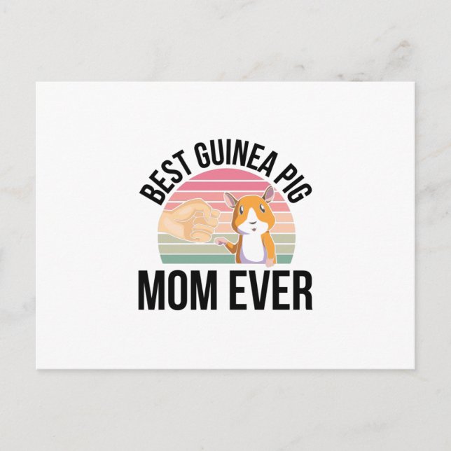 Cartão Postal Presentes de Porquinho-da-Índia | Porquinhos-da-Ín (Frente)