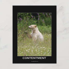 Cartão Postal Presentes do Urso Espirituoso