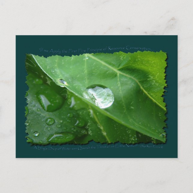 Cartão Postal Presentes e engrenagens de manutenção de água comp (Frente)