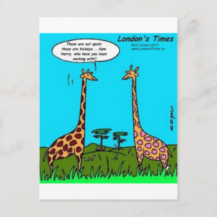 Cartão Postal Presentes Engraçados Giraffe Hickeys Camisetas Can