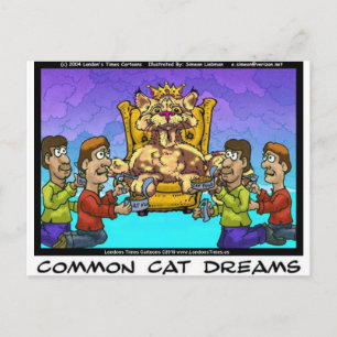 Cartão Postal Presentes Engraçados Sonhos de Gato Comuns Camiset