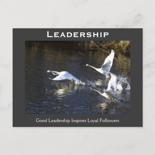 Cartão Postal Presentes Motivacionais do Trompeter Swans (Frente)