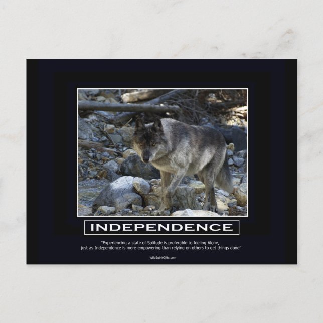Cartão Postal Presentes Motivacionais do Wolf cinza (Frente)
