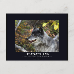 Cartão Postal Presentes Motivacionais Lobo Cinzento