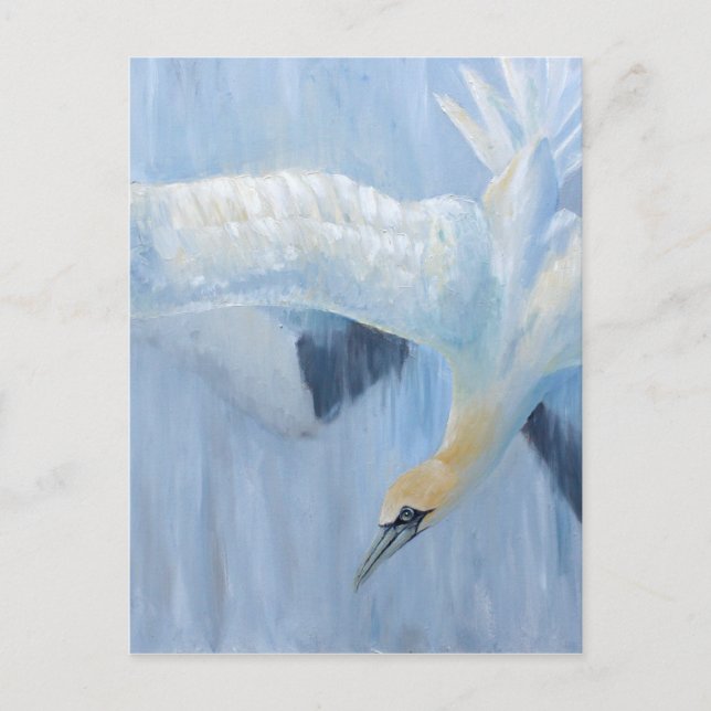 Cartão Postal Presentes originais de mergulho de Gannets para (Frente)