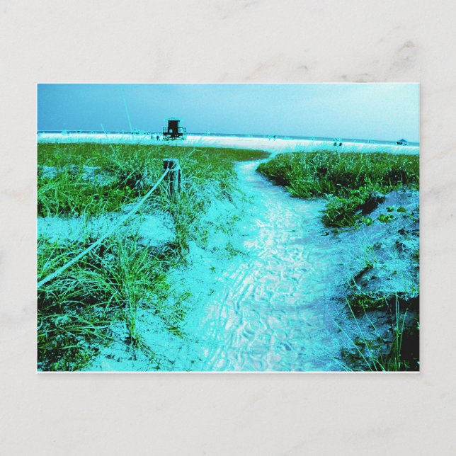 Cartão Postal Presentes Temáticos de Siesta Keys Beach com Borda (Frente)