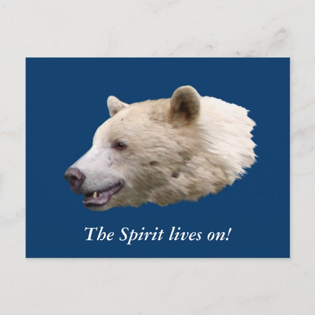 Cartão Postal Presentes "Urso Espírito" (Frente)