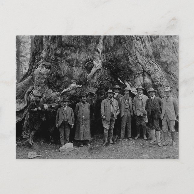 Cartão Postal Presidente Roosevelt e John Muir Califórnia 1903 (Frente)
