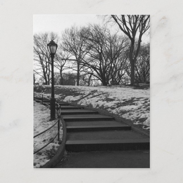 Cartão Postal Preto Branco NY Parque Central (Frente)