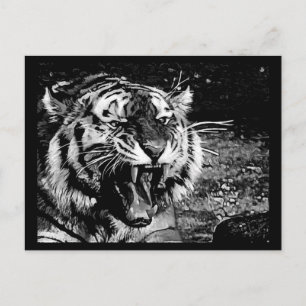 CARTÃO POSTAL PRETO BRANCO TIGRE FEROCIDADE RUGINDO ANIMAIS SELV
