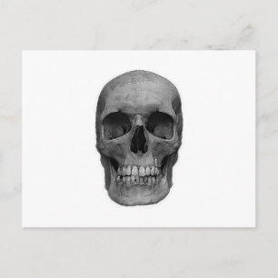 Cartão Postal Preto e Branco