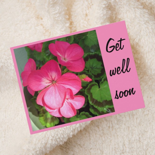 Cartão Postal Pretty Pink Geranium Photo Get Well Soon Postcard (Criador carregado)