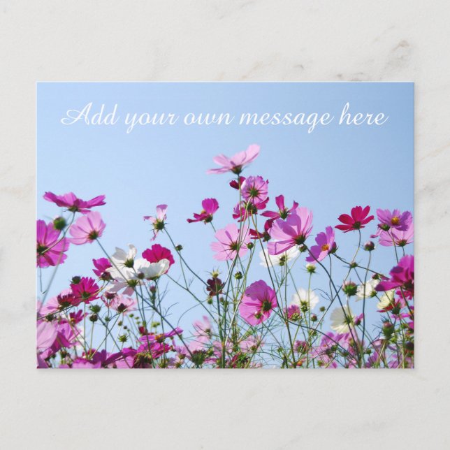 Cartão Postal Pretty Pink Meadow Custom Message (Frente)